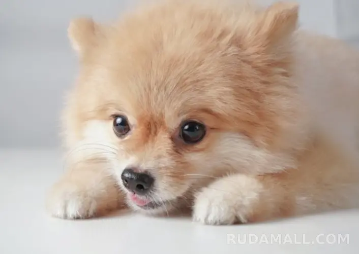 test_대표이미지
