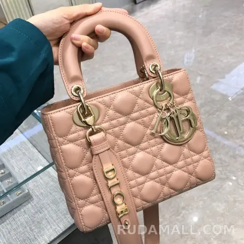 null  디올 레이디백 스몰 마이 ABC 상세 이미지