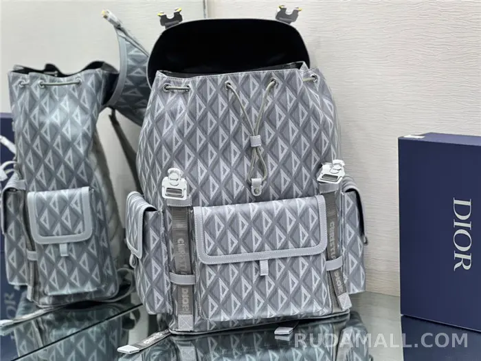 null Dior 디올 백팩 D31050 상세 이미지