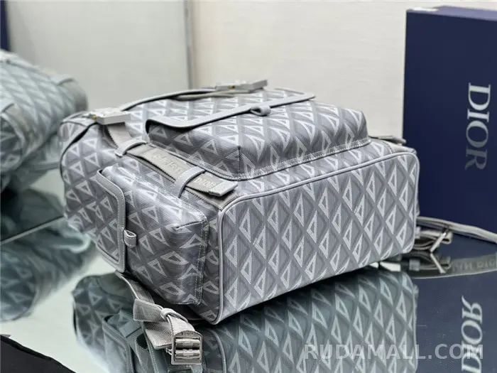 null Dior 디올 백팩 D31050 상세 이미지