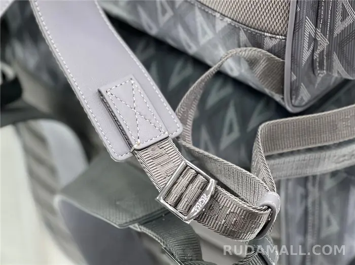 null Dior 디올 백팩 D31050 상세 이미지