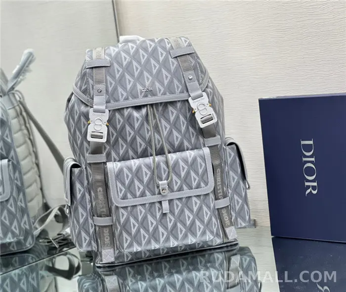 null Dior 디올 백팩 D31050 상세 이미지