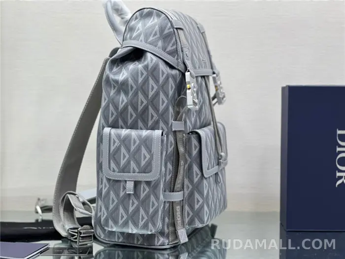 null Dior 디올 백팩 D31050 상세 이미지