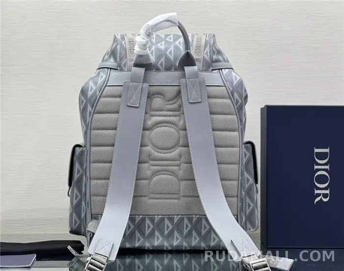 null Dior 디올 백팩 D31050 상세 이미지