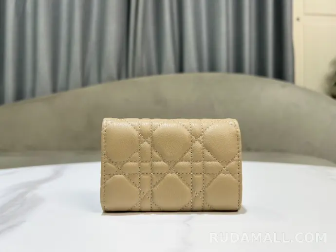 null 디올 카로 글리신 지갑 상세 이미지