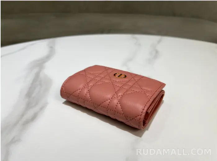 null 디올 카로 글리신 지갑 상세 이미지