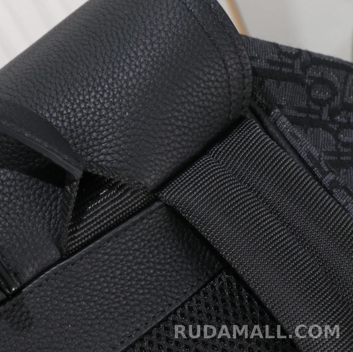 null 디올 Saddle 백팩 1ESBA 상세 이미지