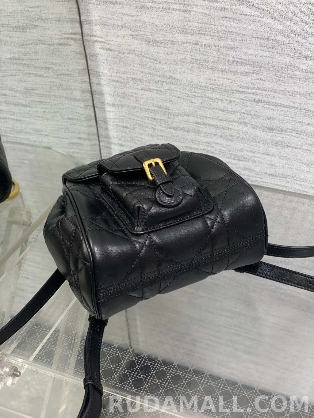 null 디올 카로 스몰 백팩 상세 이미지