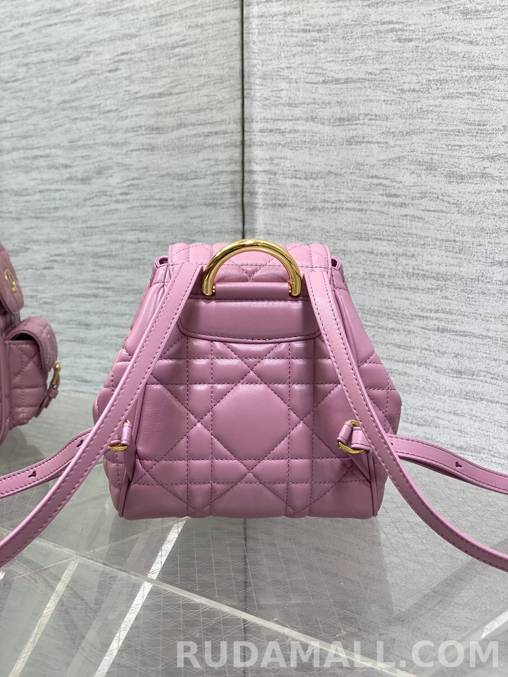 null 디올 카로 스몰 백팩 상세 이미지
