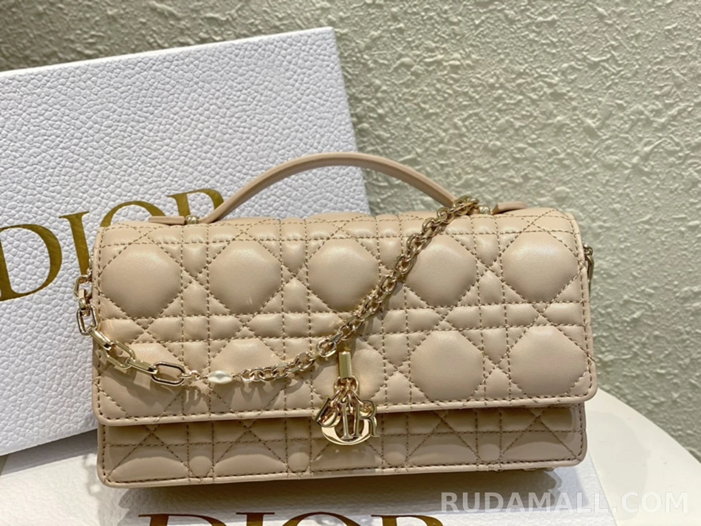 null  디올 My Dior 미니 백 까나쥬 양가죽 상세 이미지