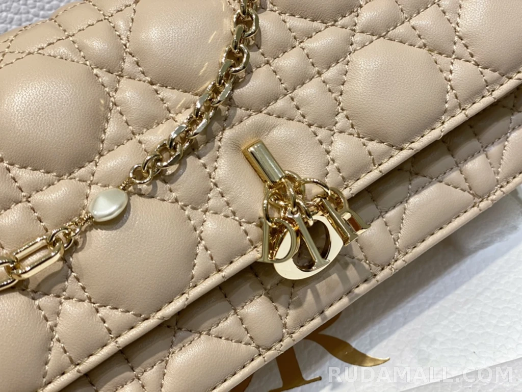 null  디올 My Dior 미니 백 까나쥬 양가죽 상세 이미지