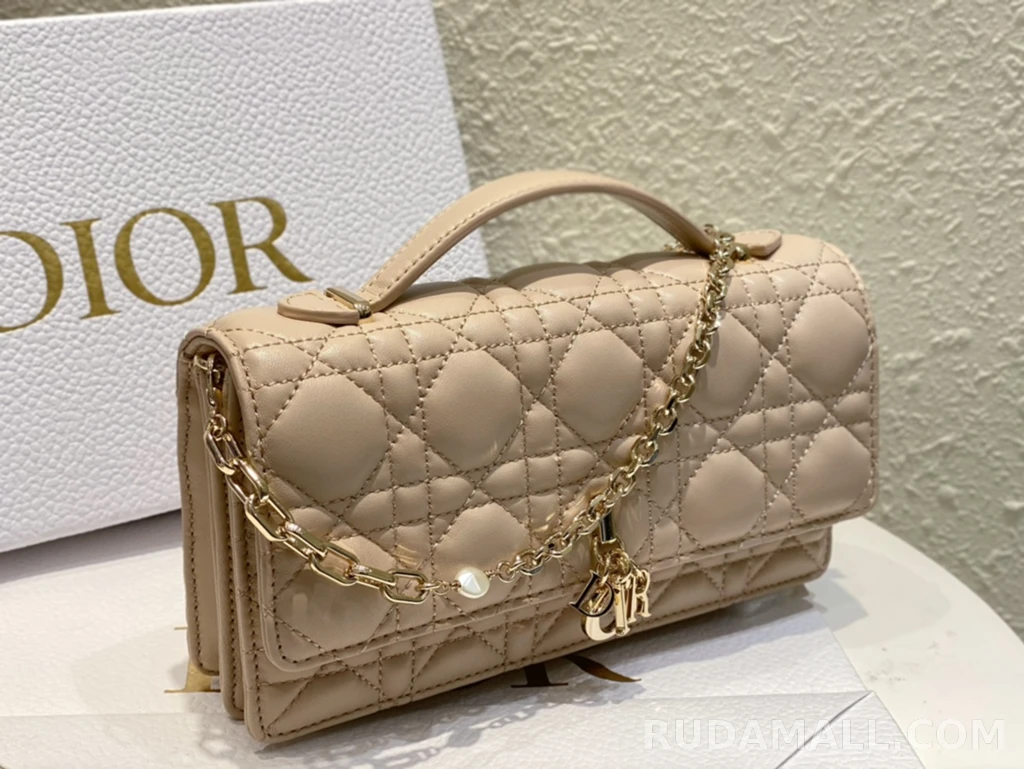 null  디올 My Dior 미니 백 까나쥬 양가죽 상세 이미지