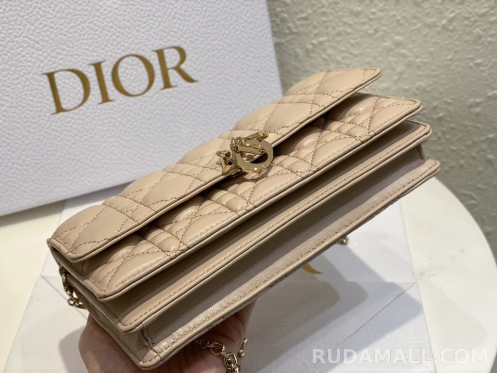 null  디올 My Dior 미니 백 까나쥬 양가죽 상세 이미지