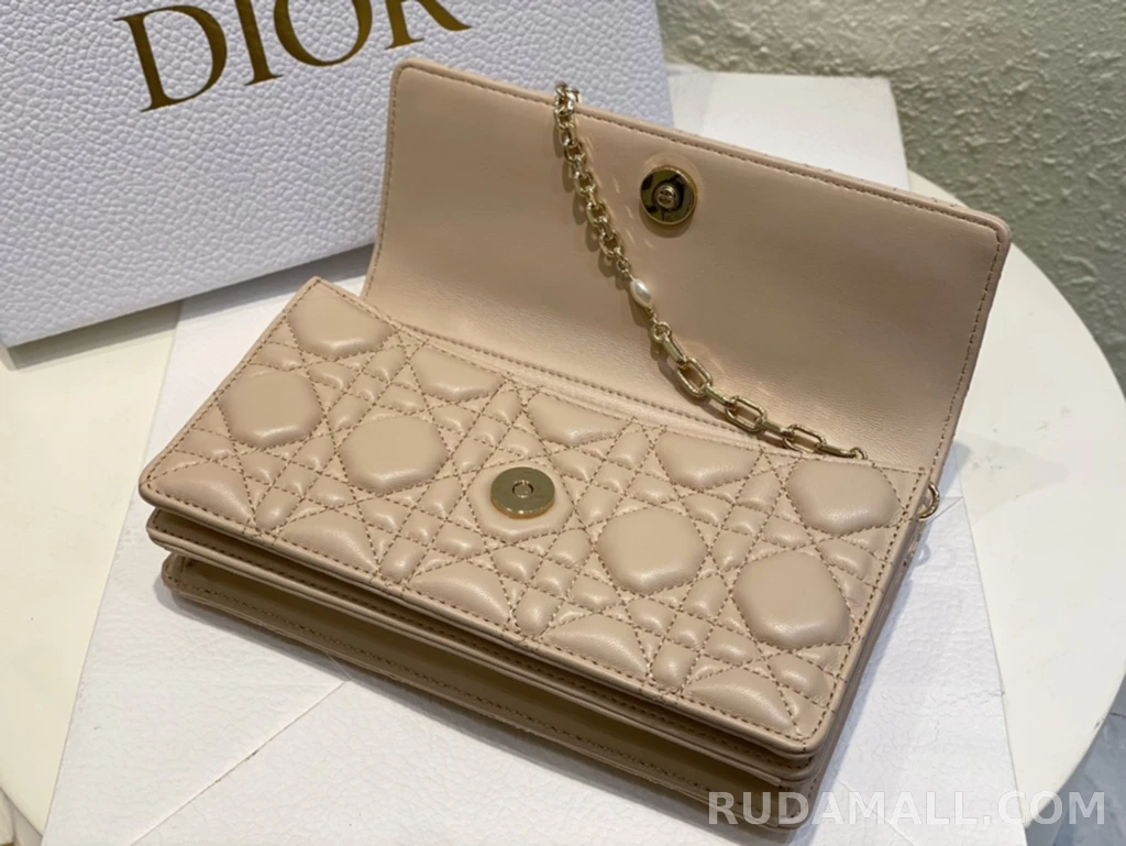 null  디올 My Dior 미니 백 까나쥬 양가죽 상세 이미지