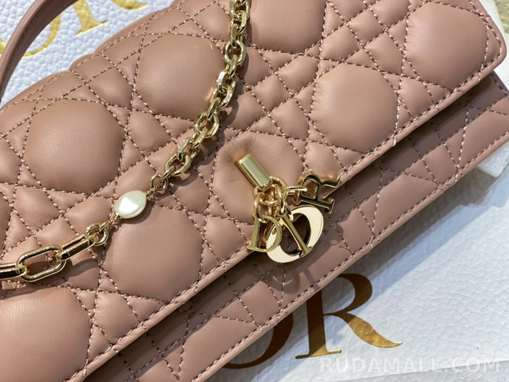 null  디올 My Dior 미니 백 까나쥬 양가죽 상세 이미지