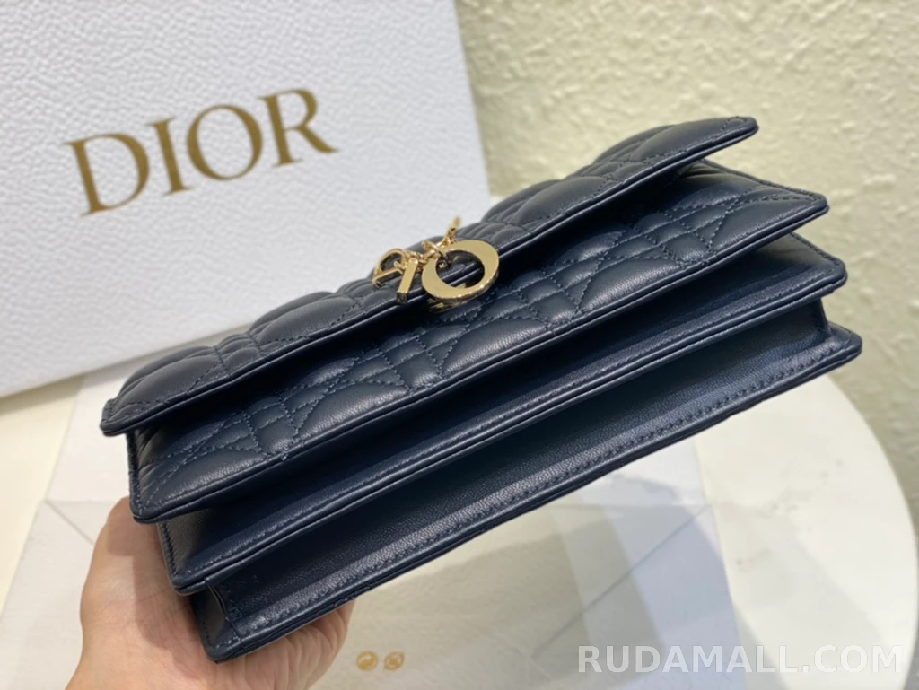 null  디올 My Dior 미니 백 까나쥬 양가죽 상세 이미지