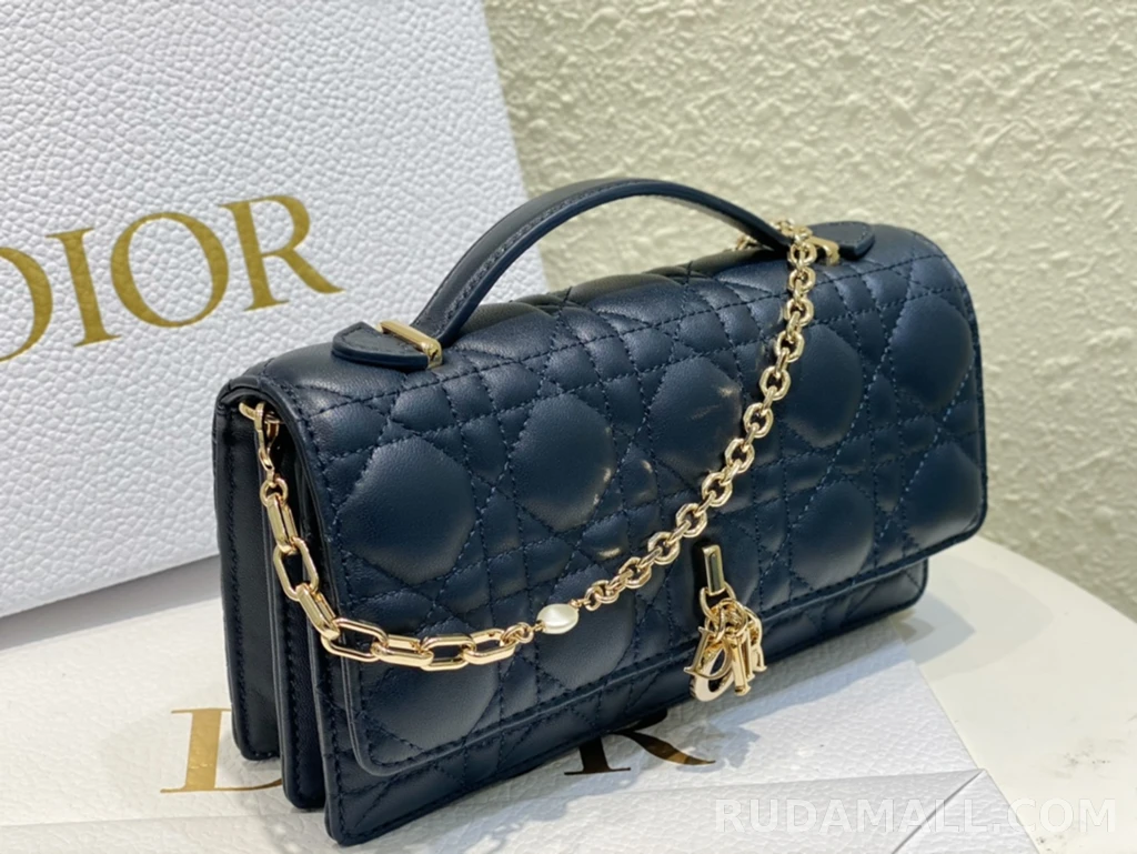 null  디올 My Dior 미니 백 까나쥬 양가죽 상세 이미지