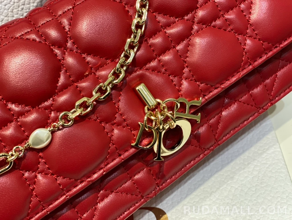 null  디올 My Dior 미니 백 까나쥬 양가죽 상세 이미지