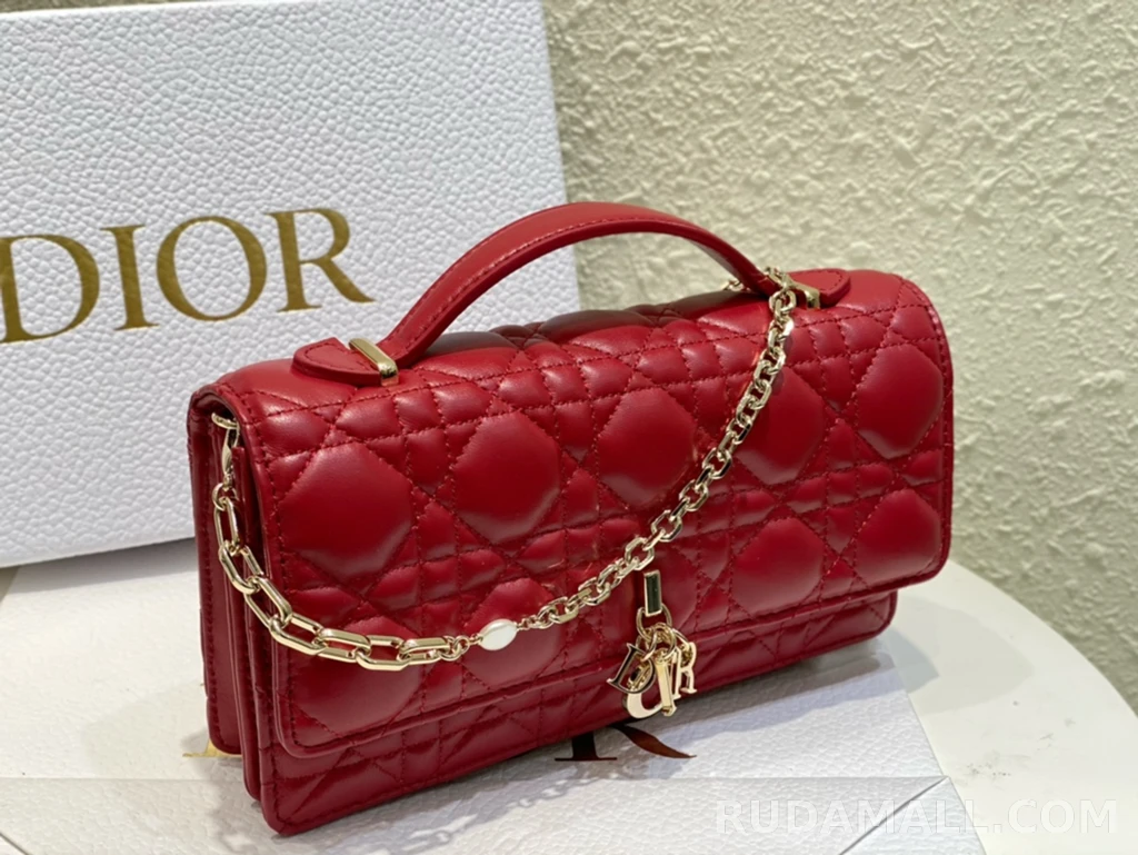 null  디올 My Dior 미니 백 까나쥬 양가죽 상세 이미지