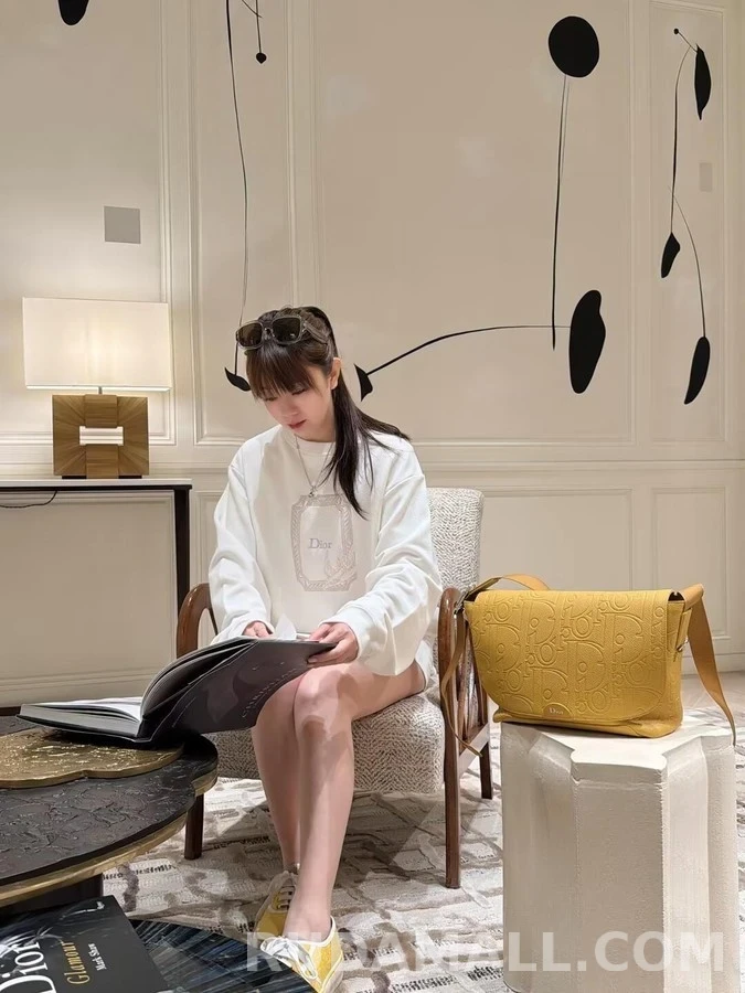 디올 디올 메달리온 콜리브리 릴랙스 핏 스웨트셔츠 상세 이미지