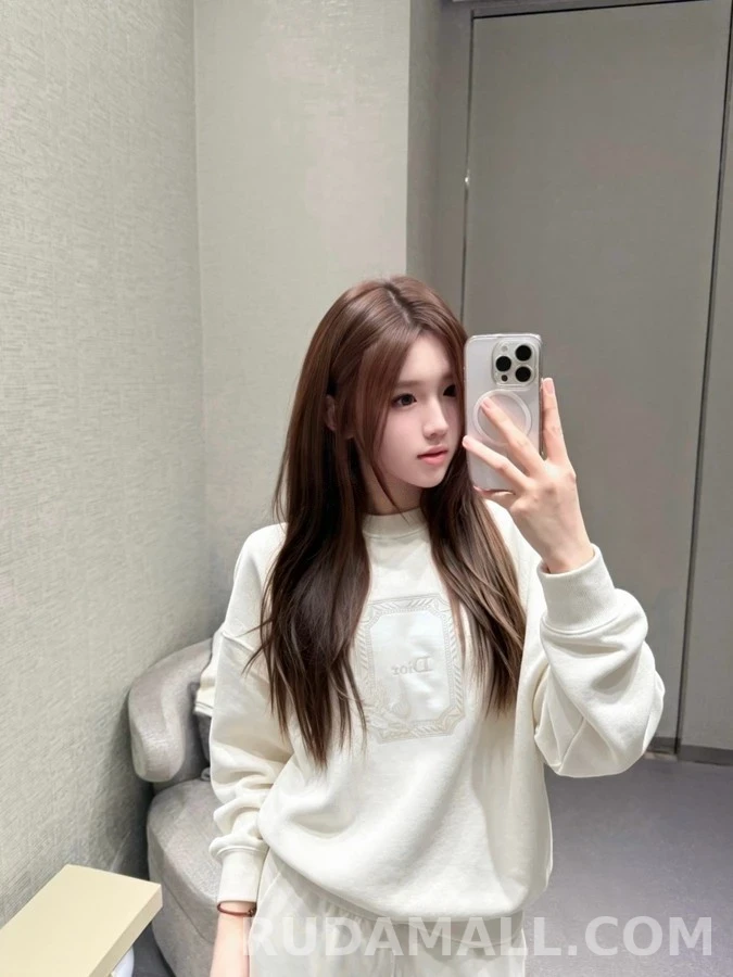 디올 디올 메달리온 콜리브리 릴랙스 핏 스웨트셔츠 상세 이미지