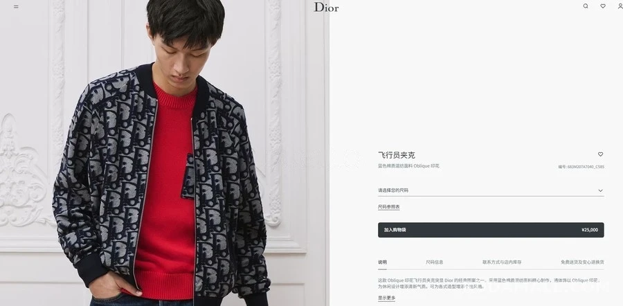 디올 디올 오블리크 패턴 봄버 자켓 상세 이미지