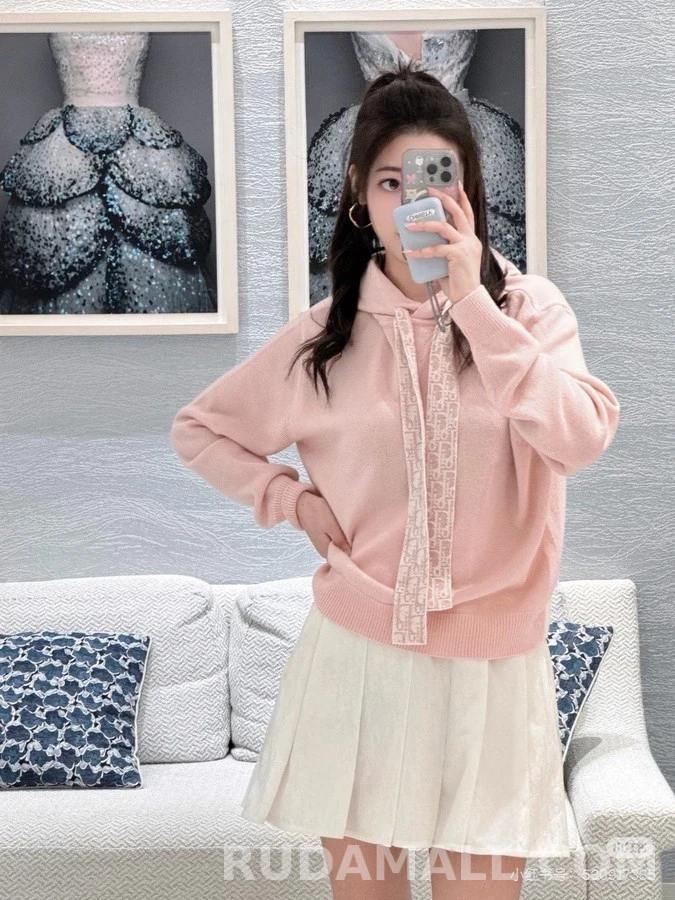 디올 디올 오블리크 후드 긴팔 티셔츠 상세 이미지