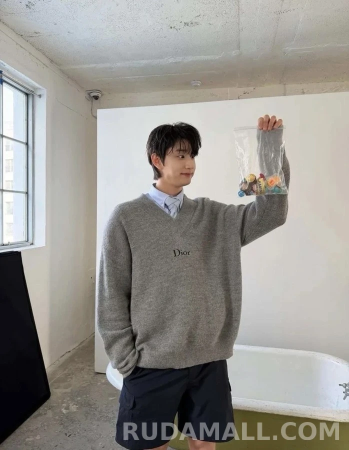 디올 디올 자수 V넥 니트 상세 이미지