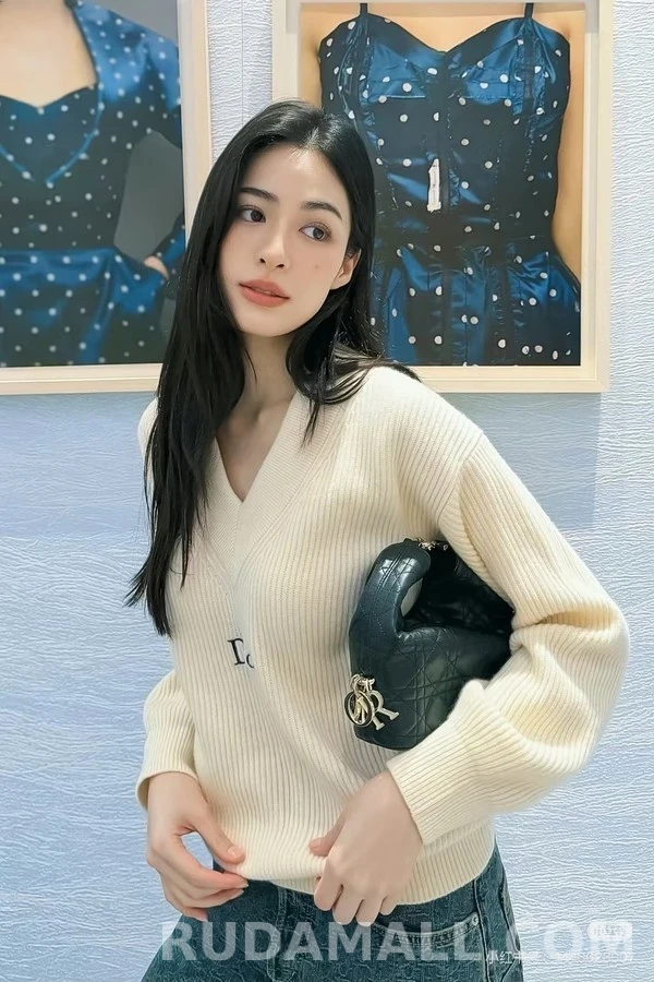 디올 디올 V넥 자수 로고 니트 상세 이미지