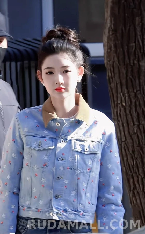 디올 디올 장미 자수 데님 자켓 상세 이미지