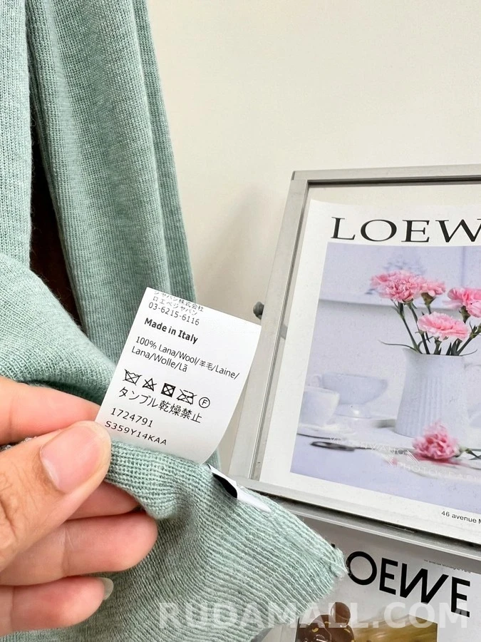 로에베 로에베 컬러블록 아나그램 자수 긴팔 티셔츠 상세 이미지