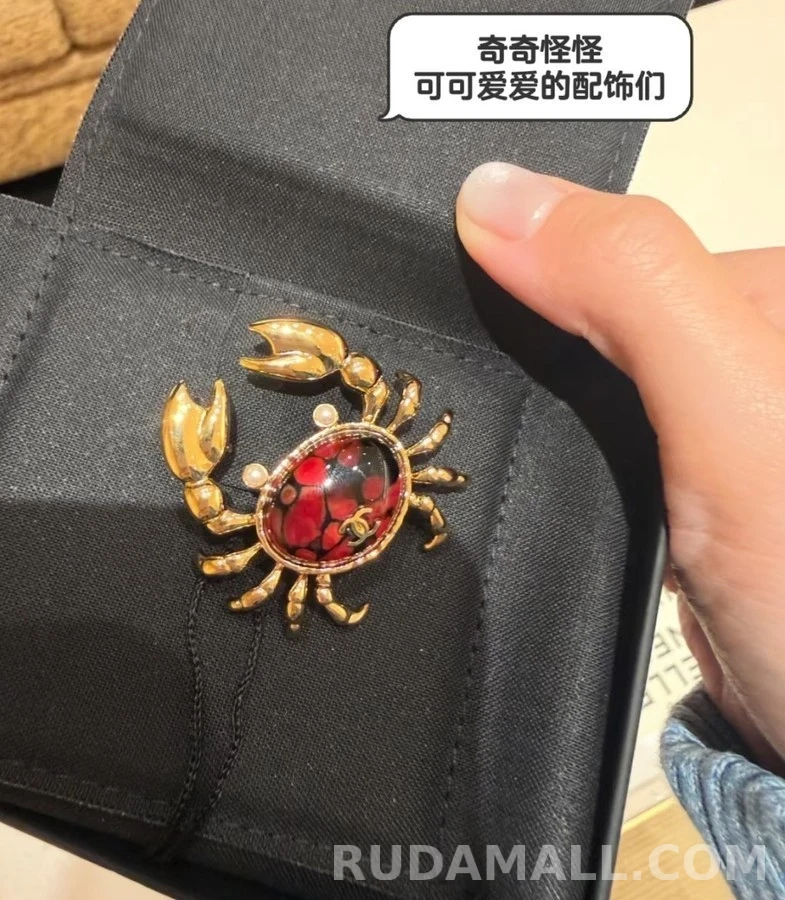 샤넬 샤넬 크랩 브로치 상세 이미지