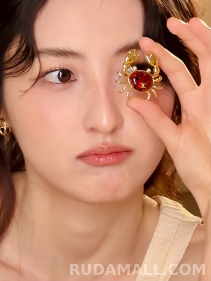 샤넬 샤넬 크랩 브로치 상세 이미지