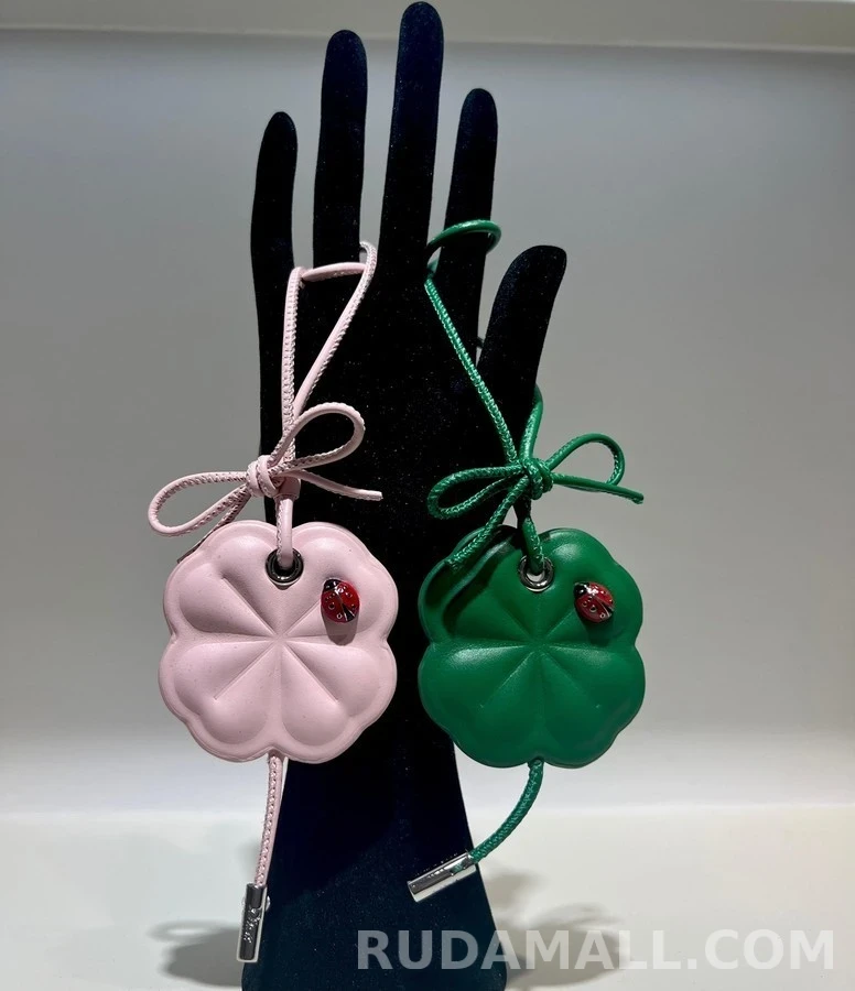 디올 디올 클로버 핸드백 참 상세 이미지