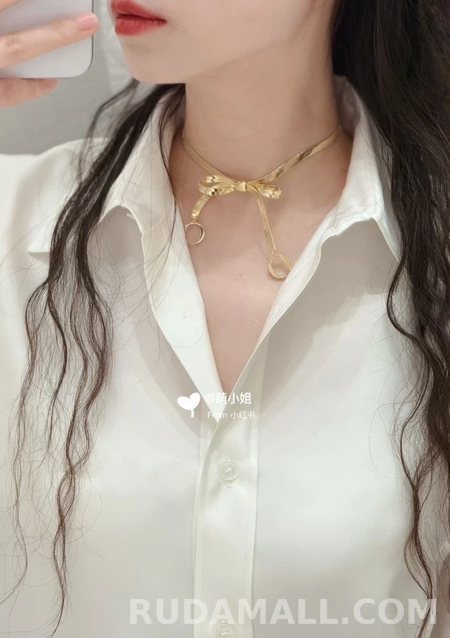 디올 디올 뱀줄 리본 초커 목걸이 상세 이미지