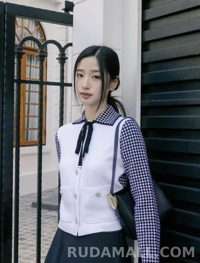 디올 디올 하운드투스 배색 숏 자켓 상세 이미지