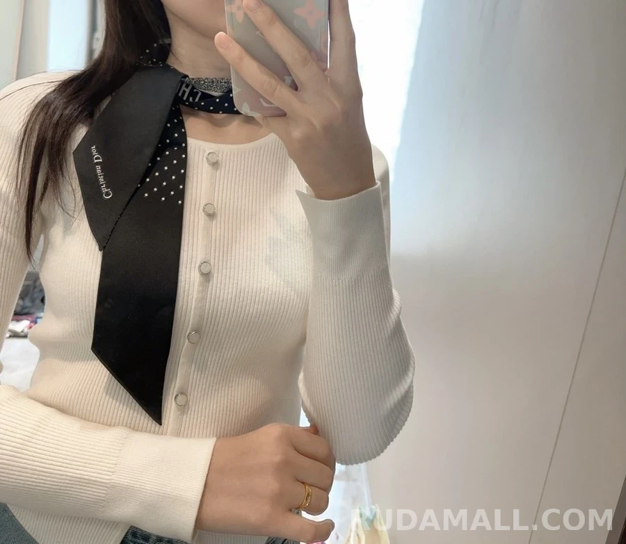 디올 디올 도트 패턴 트윌리 스카프 상세 이미지