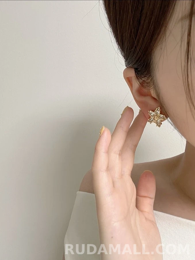 샤넬 샤넬 더블C 스타 크리스탈 이어링 상세 이미지