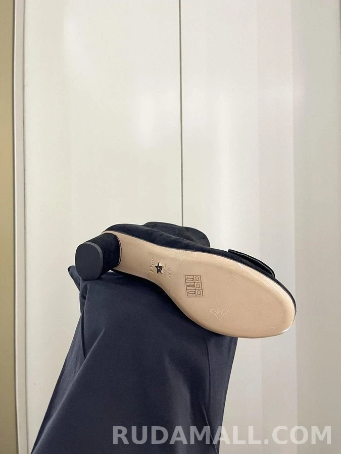 디올 디올 C'EST DIOR 스웨이드 힐 앵클부츠 상세 이미지