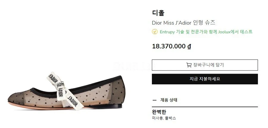 디올 디올 발레리나 매쉬 플랫슈즈 상세 이미지